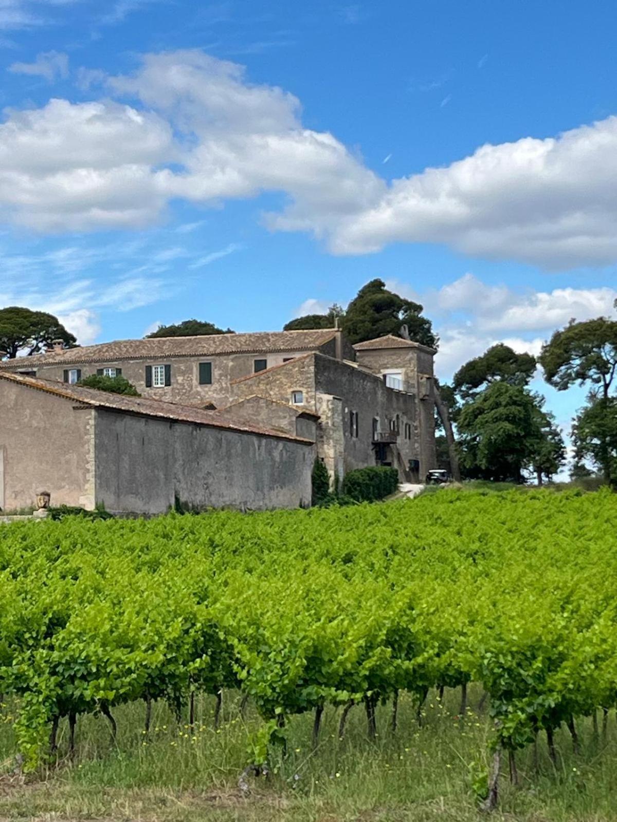 La Pinede, Logement Privatif Au Chateau Aumes Dış mekan fotoğraf
